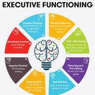 Chart of different types of executive functioning skills